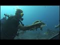 Diving in Moorea
