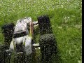 Gmaxxvid6 Gmaxxvid6
