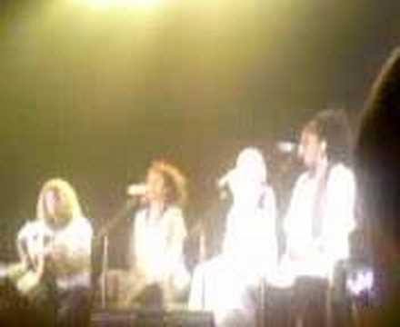 pink live 2006 cia