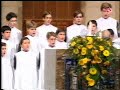 missa del gall
1994.12.25