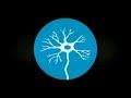 Fracasos y triunfos de la tecnología