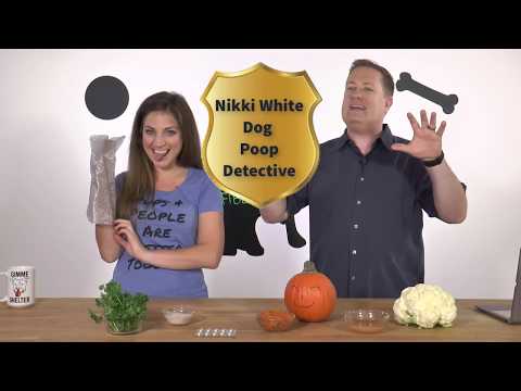 Can My Dog Eat Fiber - Dogs & Fiber Benefits - Can My Dog...? Show - Dogs & Fiber - Ep2