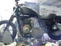 Harley Sportster with Arctic Cat 500cc twin cyclinder engine