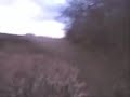 extreme steelhead