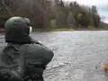 extreme steelhead