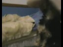Centina my new puppy!