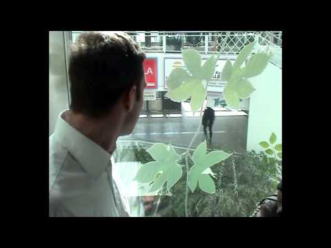 Hiukkasen fuksijäynä 2013 - YouTube