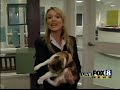 TV Reporter Cat Attack