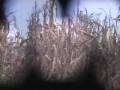 A Pinhole's Perspective