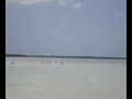 Celestún Yucatán Celestún Yucatán