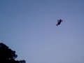 Cal�, Gabizinha e Alem�o - Sky Coaster
