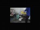 ULV ARROZ KAIPING by G... ULV ARROZ KAIPING by G...