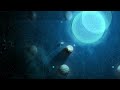 Solar Flux HD Videos