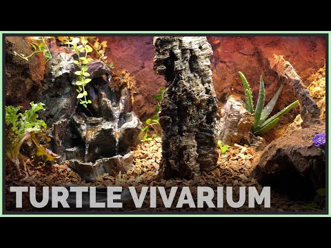 YouTube reptile video