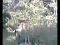 videos de rideři made in dolni dvur
