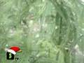 Просмотр видео