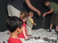 2008-09-27 - Day at the Museum (Mummified Dinosaur) 1234.avi
