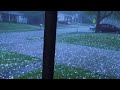 ����� ������ ������
