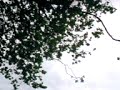 eGT in Vorbeifahrt..