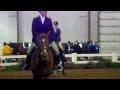 Kate Riding Hunt at Lakeside