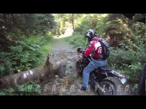 MOTARDS IN THE JUNGLE.mp4