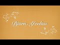 Flickan Fr��n Landet I Norr - Bj��rn Afzelius