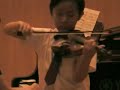 Wu violin