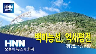 백마능선, 억새평전