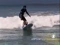 Cao surfista