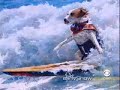 Cao surfista