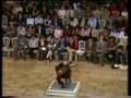 Narciso Yepes - Chacona de J.S.Bach (1)