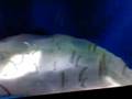videos de Video-0012.mp4