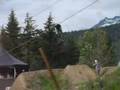 red-bull-elevation-2
