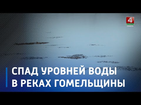 На реках Гомельщины отмечается спад уровней воды видео