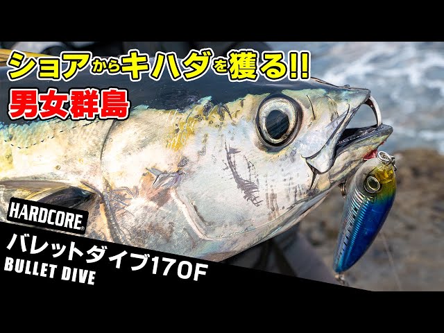 ハードコア® バレットダイブ(F) - 釣具の総合メーカー デュエル ハードコア® バレットダイブ(F) - 釣具の総合メーカー デュエル