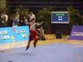 Zhao Jie ACG changquan