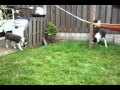 Ontmoeting aika met haar zusje fay2 - YouTube