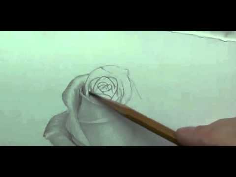 Бесплатные как рисовать все карандашом видео Бесплатные как рисовать все карандашом видео