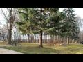 2334 Cherylann, Burton, Michigan 48519