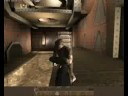 Tenebrae bug