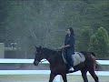 Perlis Equine 02