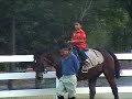 Perlis Equine 02