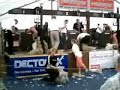 Scottish Blackface sheep shearing championships