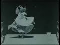 How Insensitive (Jobim) - Lane Steinberg