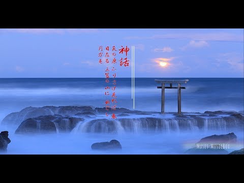 動画