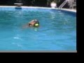 Oscars First Swim!!! Oscars First Swim!!!