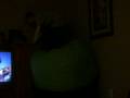 videos de Crazy Kids Jumping On Huge Bean Bags 2!