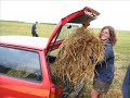 Landessippenhajk 2008 (The Official Video)
