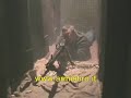 Mg 42 calibro 8x57 2