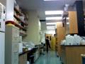 videos de Dance Your PhD 2009 - Dance of the Migrating Neuron